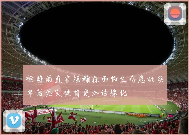 徐静雨直言杨瀚森面临生存危机明年若无突破将更加边缘化