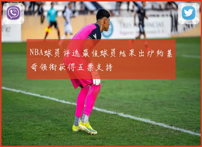 NBA球员评选最佳球员结果出炉约基奇领衔获得五票支持